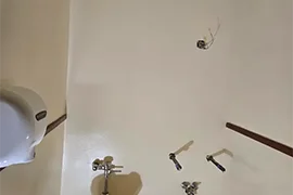 Professional House Painting