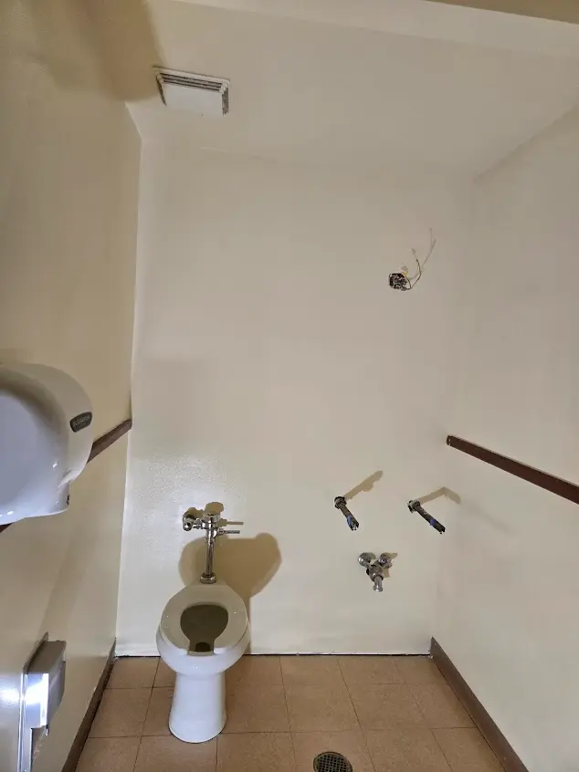 Professional House Painting