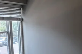 Professional House Painting