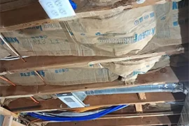 Professional House Painting