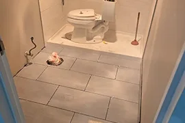 Professional House Painting