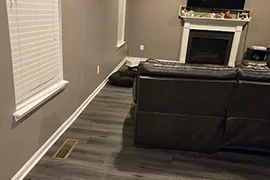 Professional House Painting