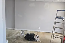 Professional House Painting