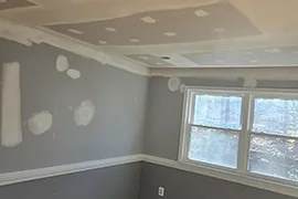 Professional House Painting